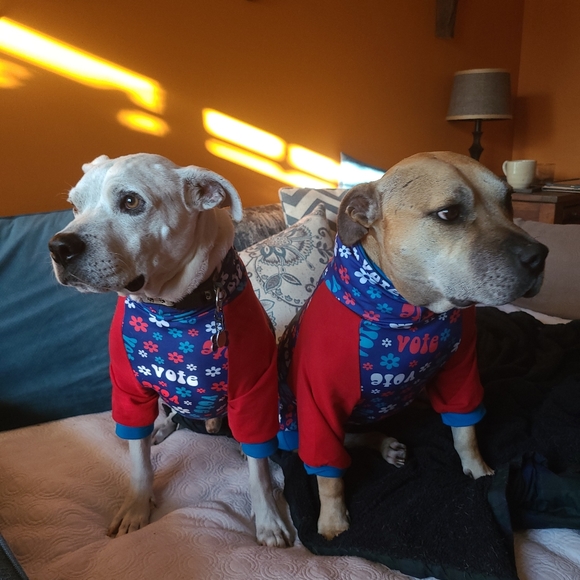 Meet your Posher, Lisa - Picture 6 of 8